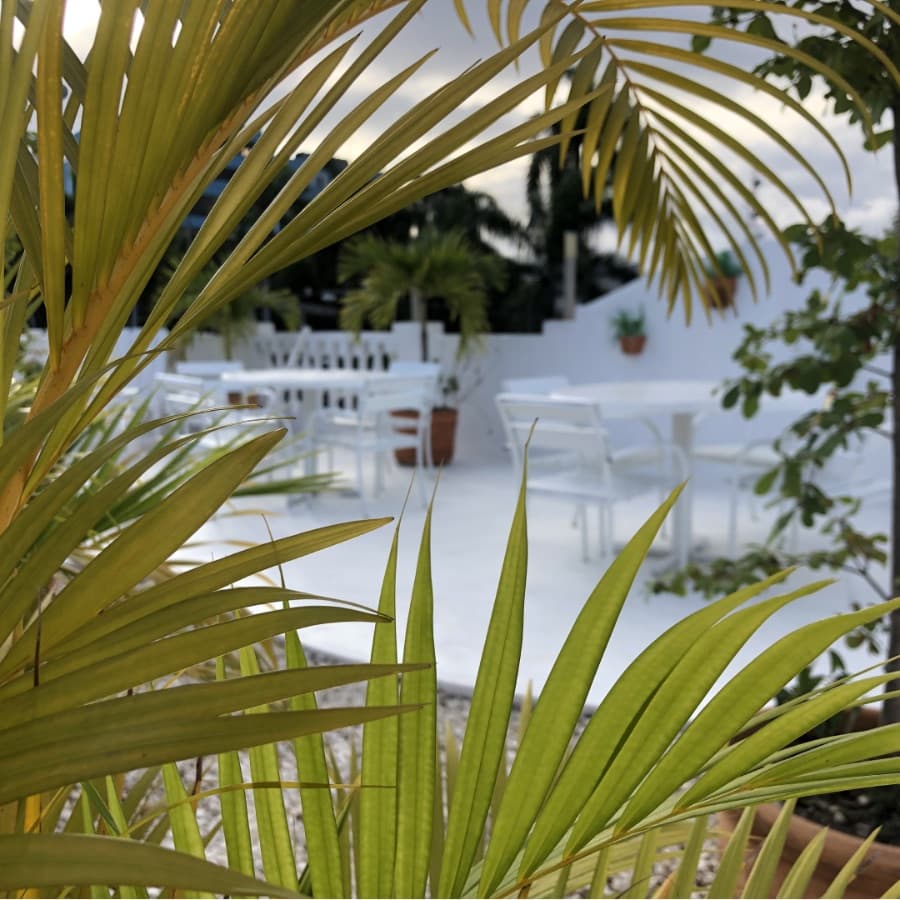 Income-Producing Investment Property for Sale in Santo Domingo, Dominican Republic