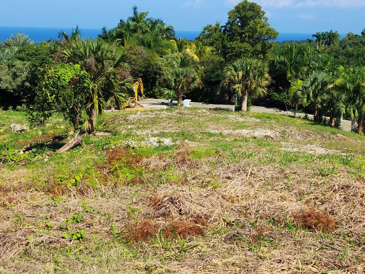 Ultra-Exclusive Ocean & Mountain View Estate Land - Image 4