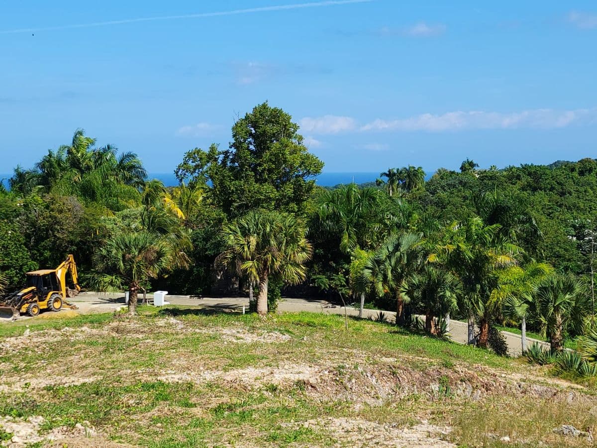 Ultra-Exclusive Ocean & Mountain View Estate Land - Image 3