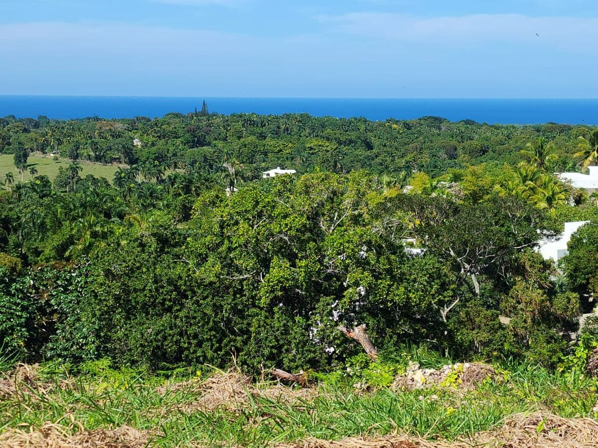 Ultra-Exclusive Ocean & Mountain View Estate Land - Image 5
