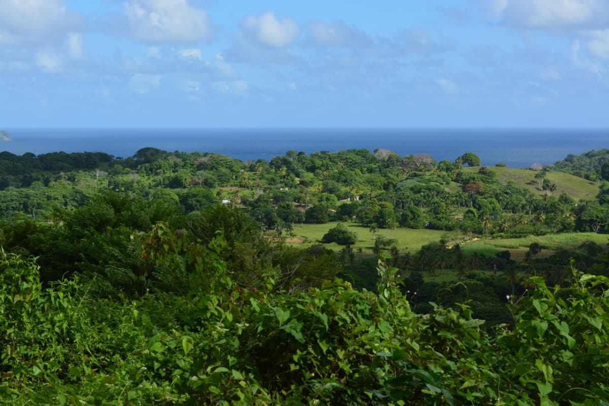 PRIME LAND OPPORTUNITY NEAR PLAYA RINCÓN – SAMANÁ - Image 5
