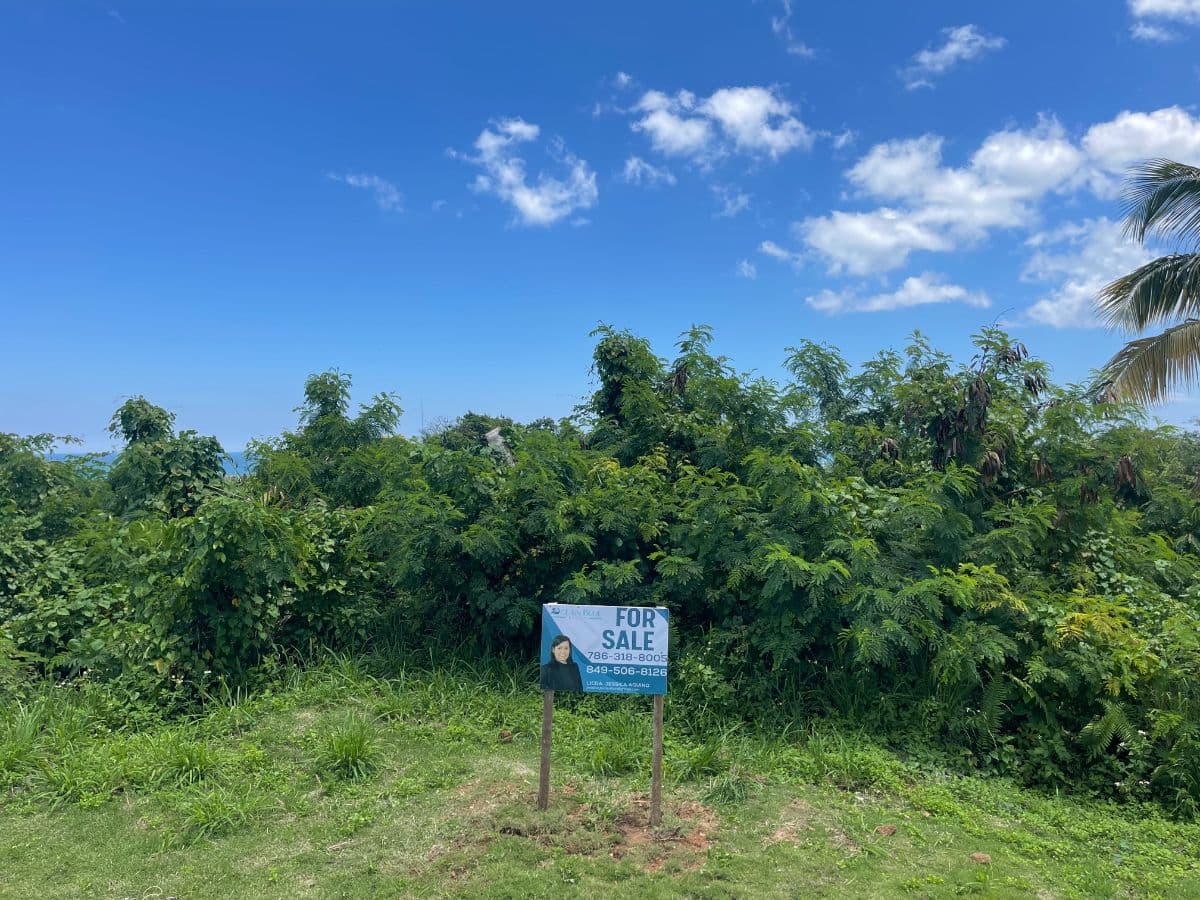 Rare Opportunity — 950.22 m² Lot for Sale in Las Terrenas, Samaná - Image 1