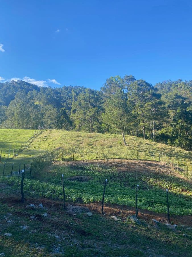 Land Lots for Sale by Owner in Jarabacoa Dominican Republic - Image 2