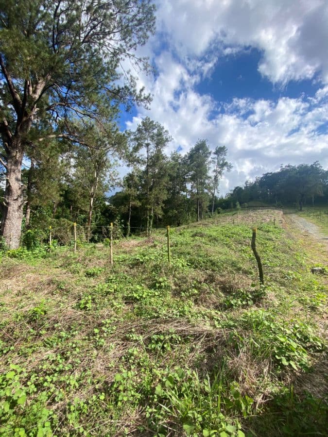 Land Lots for Sale by Owner in Jarabacoa Dominican Republic - Image 5