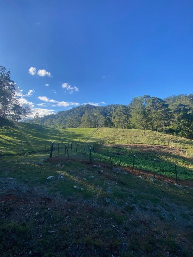 Independent Lots for Sale in Jarabacoa – Just 6 Minutes from Shopping, Supermarkets and Schools | For US$57,000 - Image 3