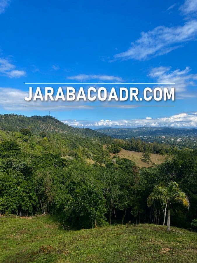 Investment Land for Sale Jarabacoa Dominican Republic Development Land with Views to the Town and Mountains at Just 8 Minutes from Commercial and Downtown Jarabacoa