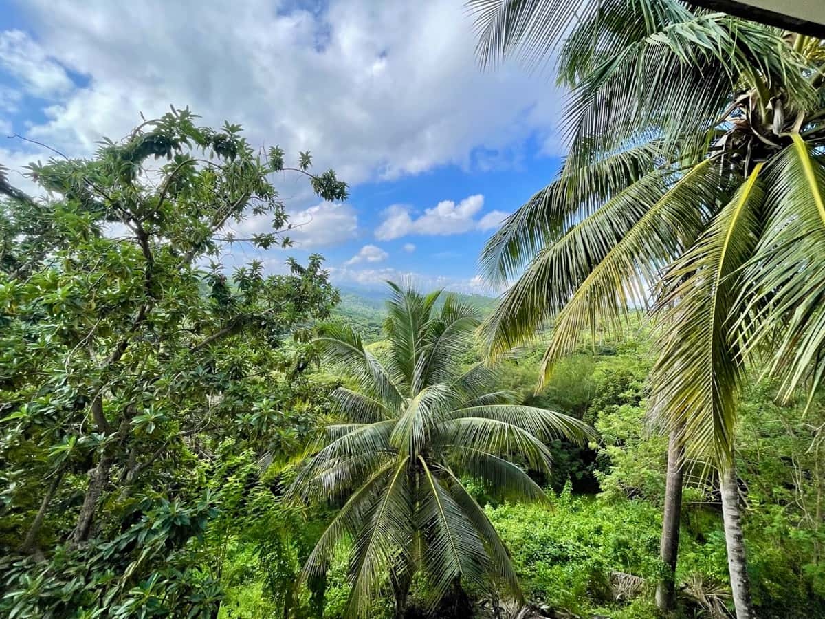 Exceptional Ocean View Land for Sale – Sosúa, Dominican Republic