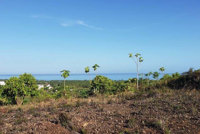 Prime 10,000 m² Ocean-View Development Land for Sale – Palmar de los Nidos, Near Playa Cosón, Las Terrenas