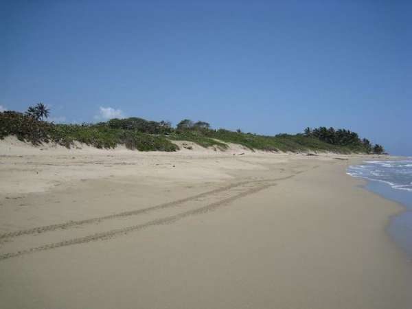 Beach Front Property To Build Luxury Condo