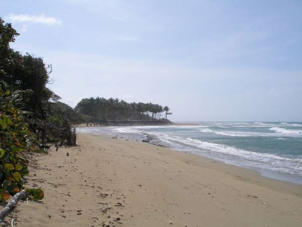 Beach Front Property