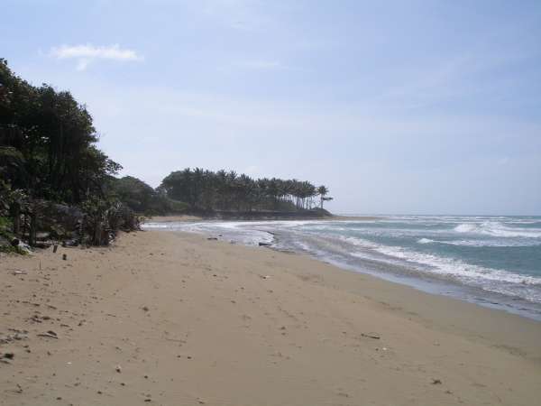 Beach Front Property