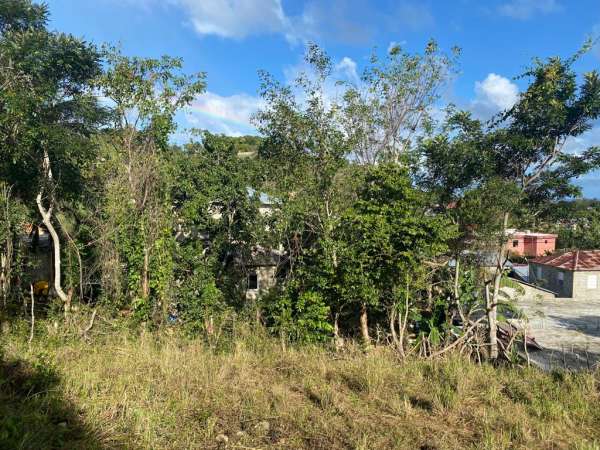 Large Lot In Peaceful Location In Sosua