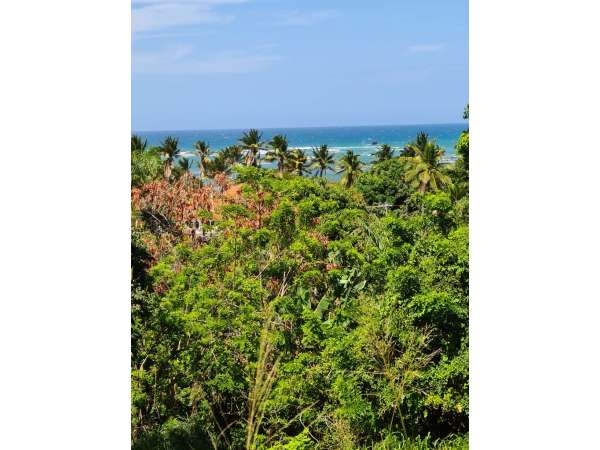 This Ocean View Lot Is Located On A Slope At The