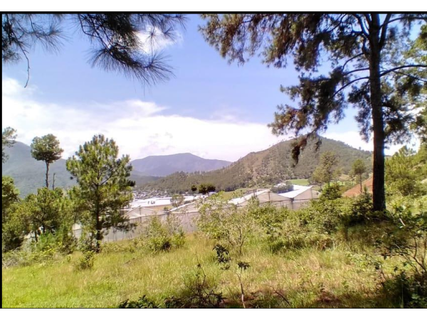 Land For Sale In Constanza - Near La Vega &