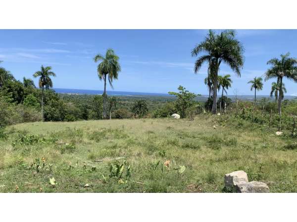 Amazing Land For Sale. Beautiful View.
