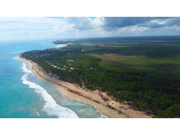 Beach Front Land Lot For Development Uvero Alto