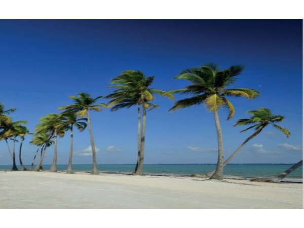 Id-2650 Two-bedroom Condo For Sale At Galia