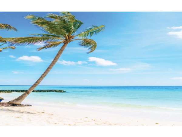 Id-2650 Two-bedroom Condo For Sale At Galia