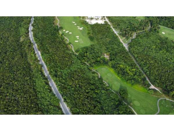 Stunning Plot Of Land In Prestigious Punta Cana