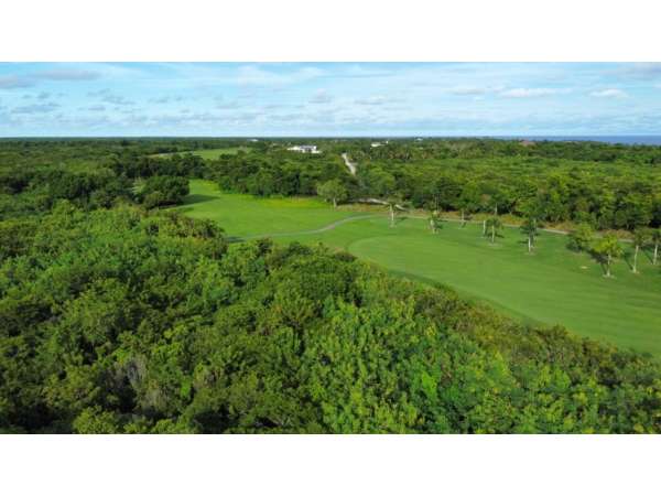 Stunning Plot Of Land In Prestigious Punta Cana
