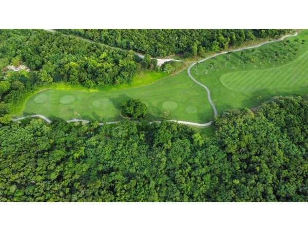 Stunning Plot Of Land In Prestigious Punta Cana