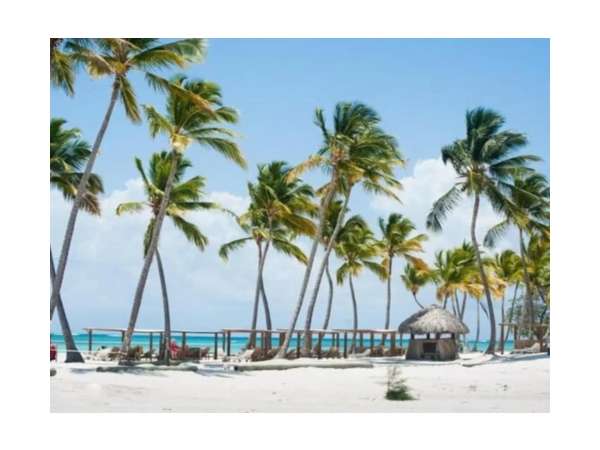 Id-3026 One Bedroom Apartment For Sale In Ciudad