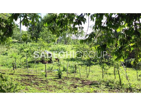 Breathtaking Land For Sale In El Choco Sosua