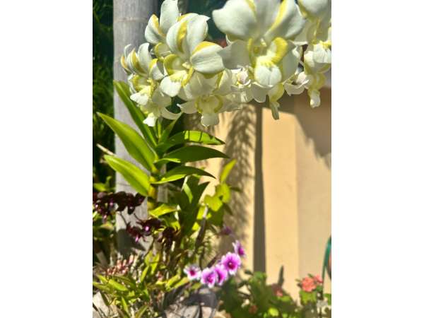 Spacious 4-bedroom Villa In Casa Linda  Fully