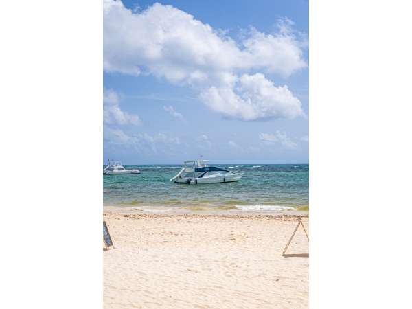 Modern Penthouse Right On The Beach