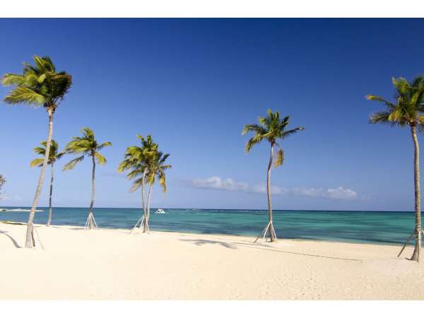 Luxury Ocean View Studio Condo For Sale In Cap