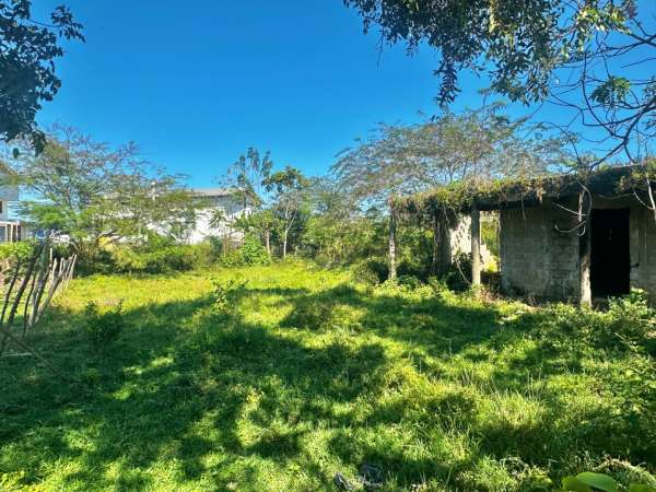 Lot For Sale El Choco Road  Near Casa Linda