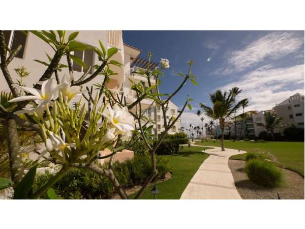 Beachfront 2-bedroom Condo