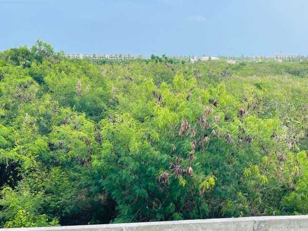 El Cortecito  Fully Furnished 1-bedroom With