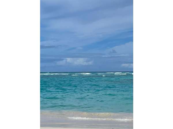 Cozy Studio In The Heart Of El Cortecito